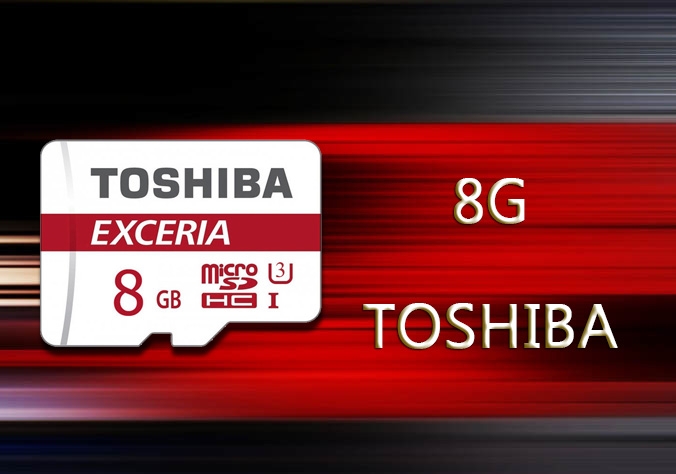 TOSHIBA 8G